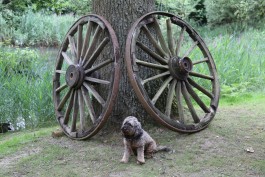 A Pair of Iron Rimmed Wooden Wagon Wheels by Anon Unknown at The Sculpture Park