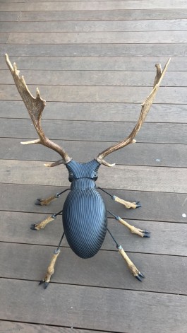 Adolescent Stag Beetle by Martin Scorey at The Sculpture Park