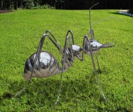 Giant Ant at The Sculpture Park 