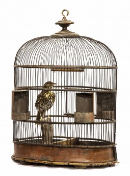 Victorian Bird Cage with Taxidermy Song Thrush at The Sculpture Park