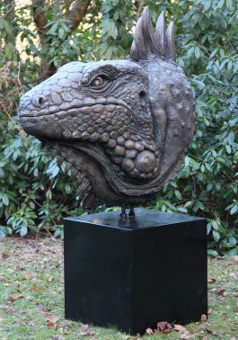 Giant Iguana by David Cooke