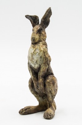 Hare by David Cooke