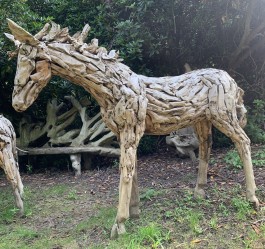 Driftwood Horse 1 by Anon Unknown at The Sculpture Park