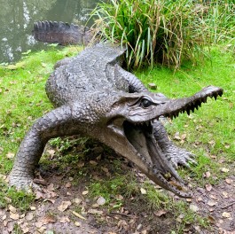 Enormous Crocodile by Anon Unknown 