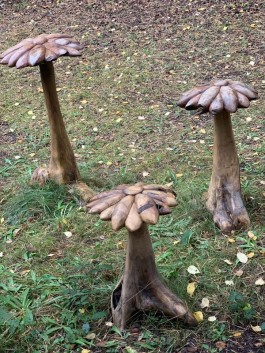 Flowerhead Mushrooms, set of three in varying heights at The Sculpture Park