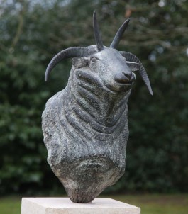 Jacob Ram's Head by Geraldine Knight