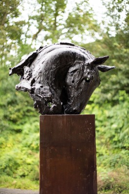 Horse Head by Brendan Hesmondhalgh at The Sculpture Park