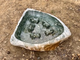 5 Hippo Bird Bath by Timothy Rukodzi at The Sculpture Park