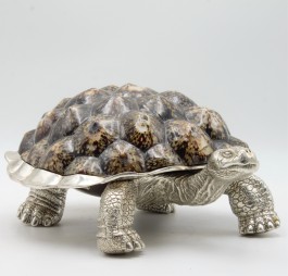 Silvered Tortoise & Limpet Shells by Anon. Unknown