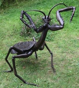 Preying Mantis by John Cox