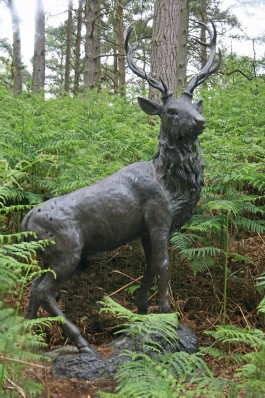 John Cox, Standing Stag, Bronze, Signed and Numbered from 50, The Sculpture Park