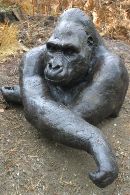 Gorilla by Lucy Kinsella