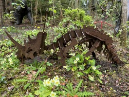 Minature Triceratops by Wilfred Pritchard at The Sculpture Park