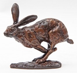Running Hare by Paul Jenkins