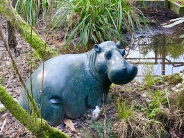 Relaxing Hippo by Timothy Rukodzi