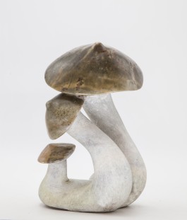Mushrooms by Simon Chidharara