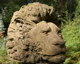 The Lion by Stephen Hunton
