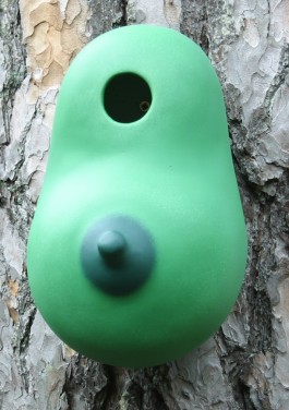 Tit Box - Green by Wilfred Pritchard
