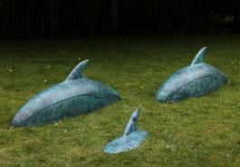 Mi-Pod - Three Dolphins by Tracey Ward