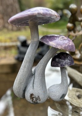 Trio Of Mushrooms at the sculpture park