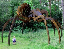 Giant Tarantula II by Wilfred Pritchard