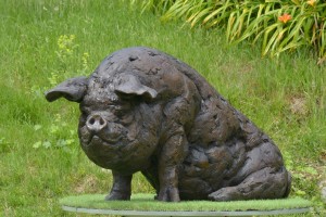 Sitting Pig by Tanya Russell at The Sculpture Park