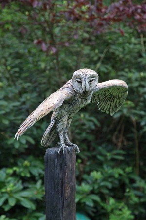 Barn Owl with Spread Wings by David Cooke at The Sculpture Park