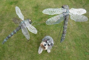 Dragonflies by Jack Russell at The Sculpture Park