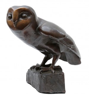 Barn Owl by Andy Decomyn