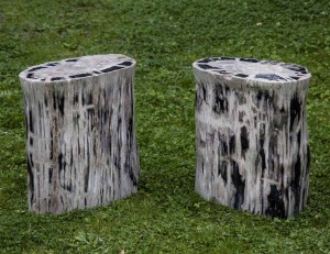 Near matching pair of petrified stools st The Sculpture Park