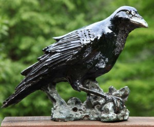 Raven by Colin Kellam