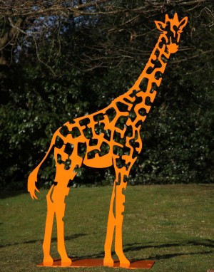 Giraffe by Danu