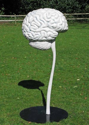 The Brain by David Cooke at The Sculpture Park