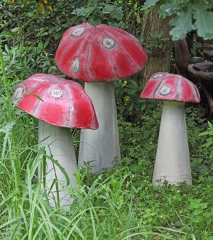Three Mushrooms by Edwin Schofield