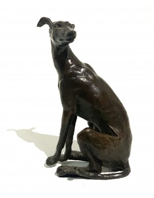 Greyhound Seated by Muhmood Tahir at The Sculpture Park
