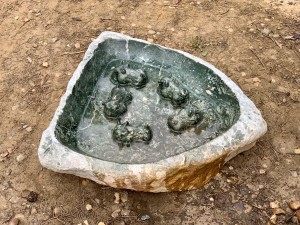 5 Hippo Bird Bath by Innocent Nyashenga at The Sculpture Park