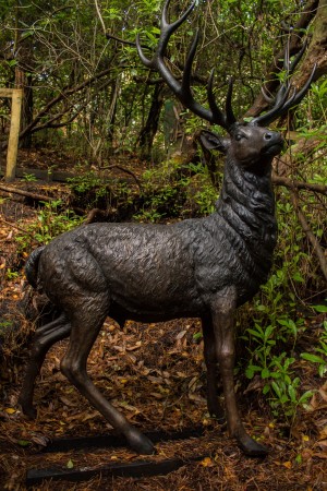 Stag by John Cox at The Sculpture Park