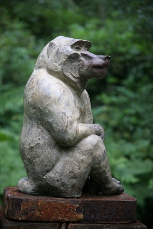 Sitting Baboon by Lucy Kinsella
