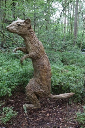 Weasel by Marjan Wouda at The Sculpture Park