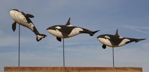Orcas by Martin Scorey