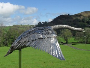 Swan Upping by Miranda Michels