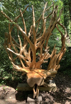 Giant Root Throne by Mother Nature at The Sculpture Park 