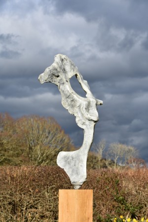 Bone Form VI by Nicola Godden at The Sculpture Park 