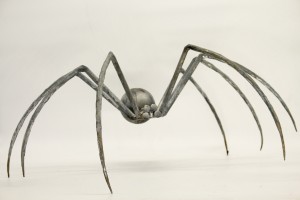 Spider by Nik Burns