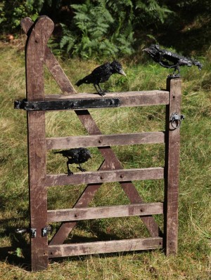 Three Crows on a Gate by Olivia Ferrier