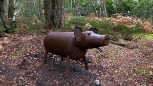 Pig by Mick Kirkby-Geddes at The Sculpture Park