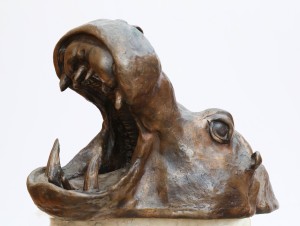 Hippopotamus Head by Rupert Merton
