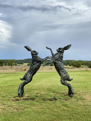 Monumental Boxing Hares from The Sculpture Park at Four Seasons