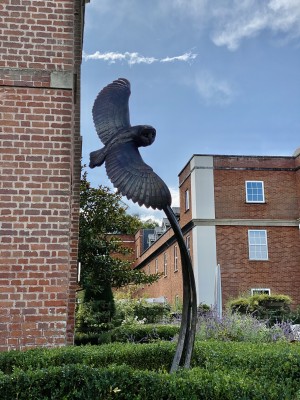Flying Owl from The Sculpture Park at Four Seasons