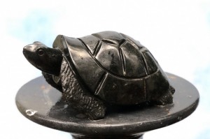 Tortoise by Timothy Rukodzi